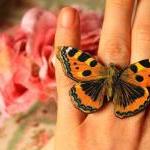 Green Butterfly Ring, Blue Butterfly Ring, Big..